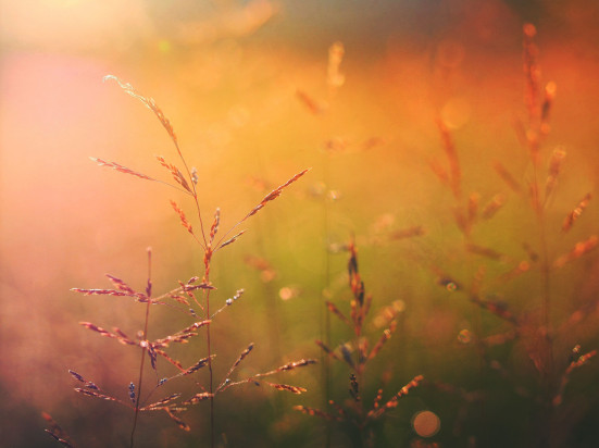 fot. unsplash.com Prognoza pogody: Temperatury osiągną nawet 14 st. C!