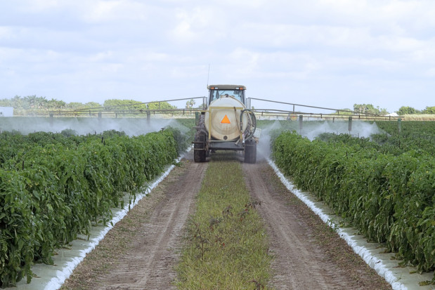 fot. shutterstock.com Nowe rozwiązania legislacyjne w ochronie roślin przed agrofagami