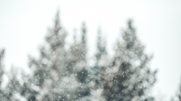 fot. unsplash.com Pogoda w tym tygodniu nadal będzie przypominała tą jesienną, ale może spaść śnieg
