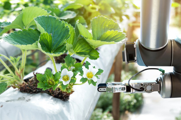 fot. shutterstock.com Rolnictwo przyszłości będzie wykorzystywać roboty i czujniki temperatury (wideo)