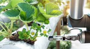 Rolnictwo przyszłości będzie wykorzystywać roboty i czujniki temperatury (wideo)