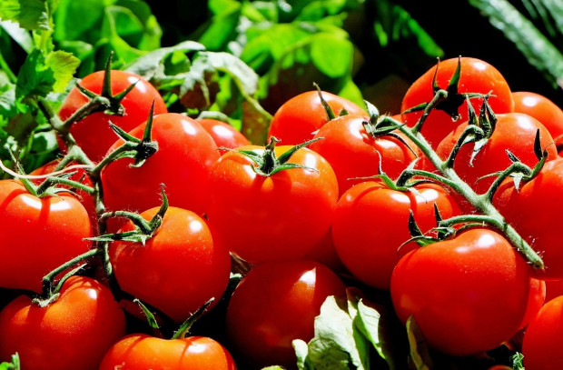 fot. pixabay.com Kalisz: Azerbejdżanin podejrzany o oszukanie plantatorów pomidorów na 293 tys. zł