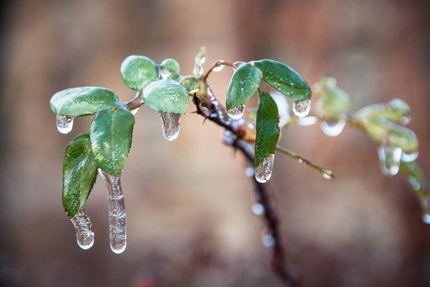 fot. pixabay.com IMGW: Marznący deszcz od niedzieli do środy