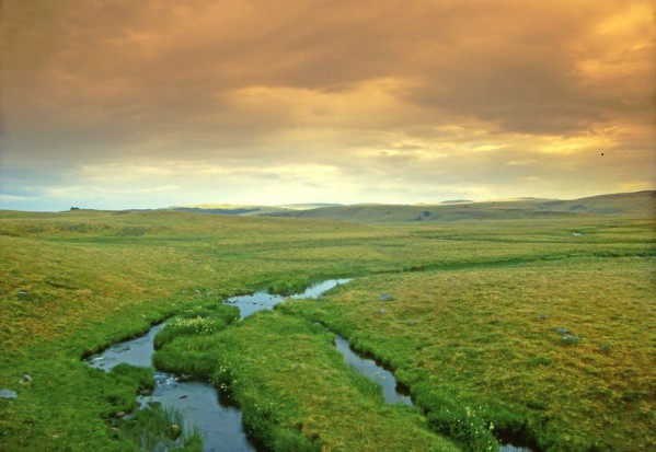 fot. shutterstock Blisko 700 wniosków na "Inwestycje w gospodarstwach położonych na obszarach Natura 2000"