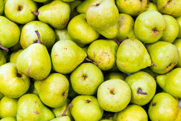 fot. shutterstock.com W Rosji zniszczono ponad 30 ton gruszek z Białorusi