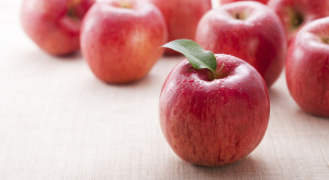 Międzynarodowe badanie rynku jabłek: Pozytywne prognozy dotyczące eksportu