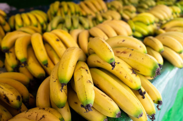 fot. shutterstock Ekwador: Spadek eksportu bananów