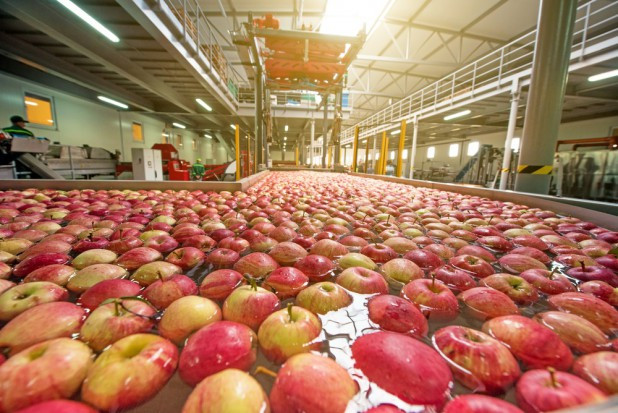 fot. shutterstock Raport: Organizacje i stowarzyszenia producentów w UE wsparciem dla rolników