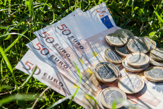 fot. shutterstock.com MRiRW podało harmonogram PROW do końca 2021 r.