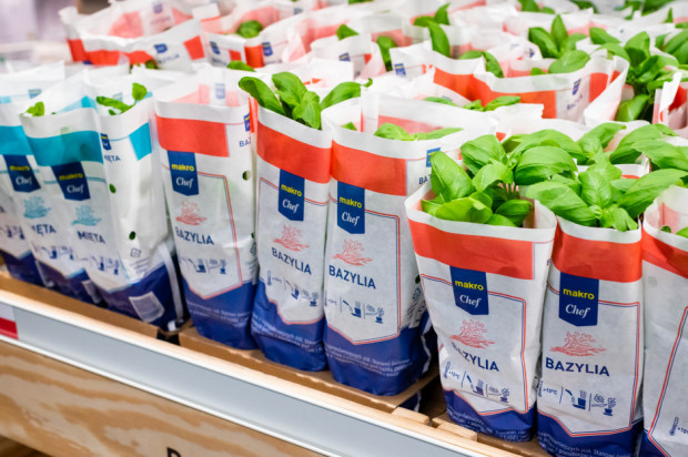 fot. materiały prasowe Makro Polska rezygnuje z plastiku w asortymencie ziół doniczkowych