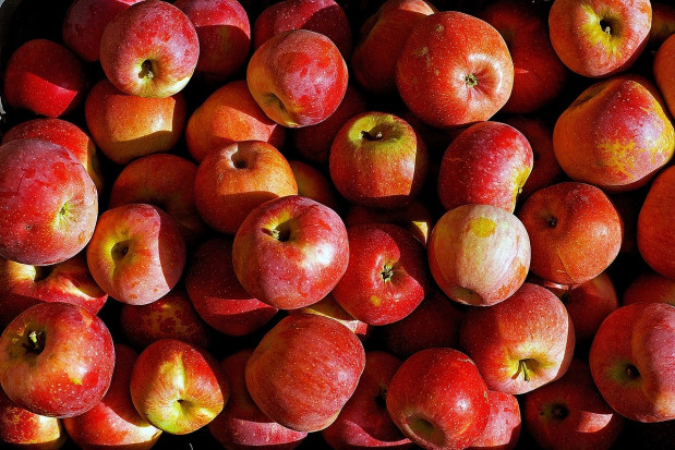 fot. pixabay.com Bronisze: jabłka z chłodni kontrolowanych - 3-5 zł/kg