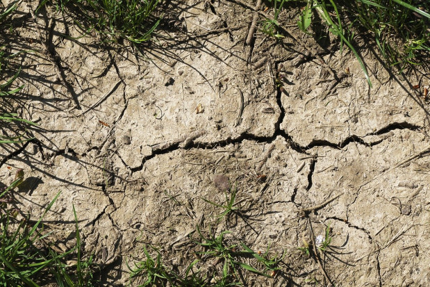 fot. pixabay.com Bezśnieżna i ciepła zima uniemożliwia odbudowę wilgoci w glebie