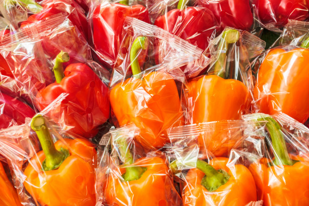 fot. shutterstock.com Naukowcy ze Szczecina chcą stworzyć materiał z roślin zastępujący plastik
