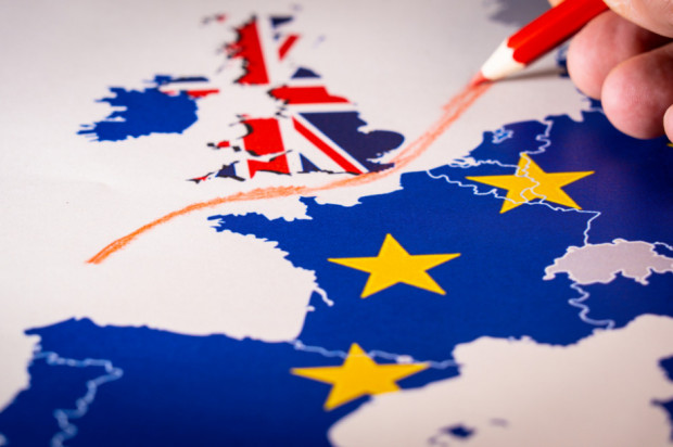 fot. shutterstock.com BGK: kontrole po brexicie mogą mocno ograniczyć polski eksport do Wlk.Brytanii