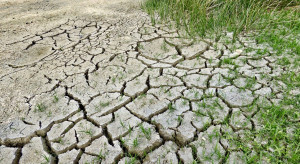 NIK sprawdzi czy efektywnie przeciwdziałano niedoborom wody w rolnictwie