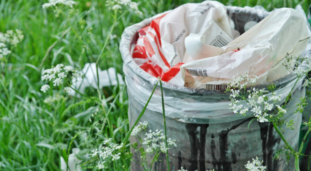 fot. pixabay.com Do 30.06. wydłużono czas na rejestrację w BDO