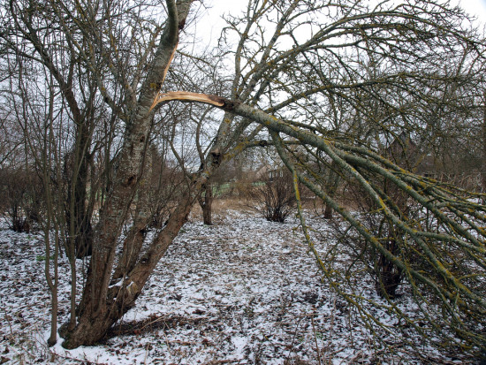 Ostrzeżenie dotyczy południowych powiatów województw opolskiego i dolnośląskiego/ fot. shutterstock IMGW ostrzega przed silnym wiatrem w wybranych powiatach czterech województw