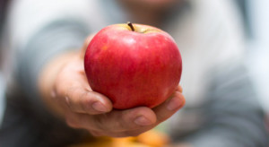 Analiza: Podatek cukrowy obniży zapotrzebowanie na jabłka i owoce miękkie