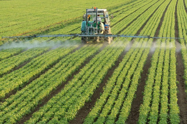 Europejski Trybunał Obrachunkowy (ETO) przedstawił raport, który wskazuje na luki w unijnym podejściu do pestycydów. / fot. shutterstock KE zapowiada działania, by obniżyć wykorzystanie pestycydów