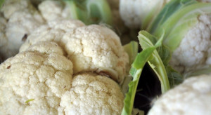 Związek obecny w warzywach kapustnych pomaga przy stłuszczeniu wątroby