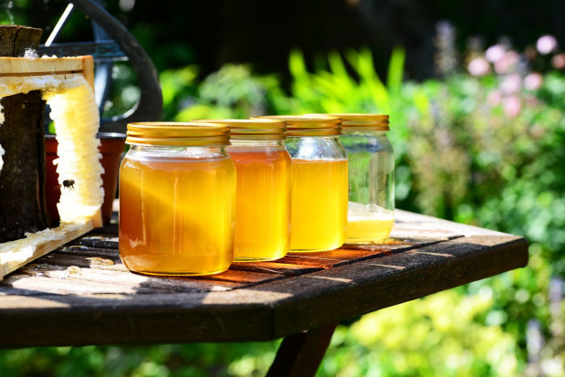 Opłacalność pasiek w Europie niszczy import z Chin i zalew rynku przez fałszowane produkty. / fot. pixabay Pszczelarze z UE domagają się zaostrzenia kontroli miodów z importu