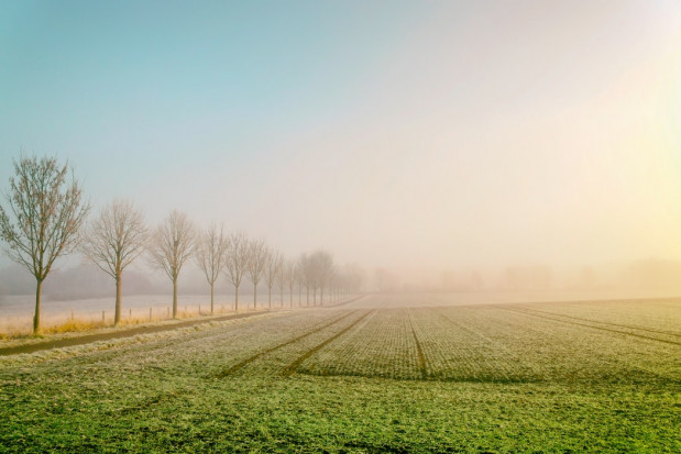 Mamy do czynienia z niezwykle ciepłą pogodą/ fot. unsplash.com Synoptycy: Niezwykle ciepła pogoda będzie się utrzymywać