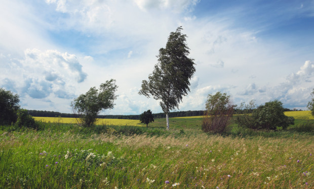 Od piątku wraca bardzo wietrzna aura, która znów może powodować szkody i stwarzać zagrożenie /fot. shutterstock Pogoda: Wraca wietrzna i niebezpieczna aura