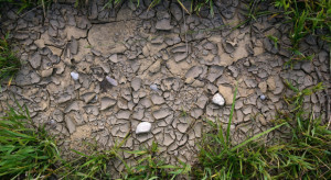 Wody Polskie: mimo ostatnich opadów wciąż zagraża nam susza