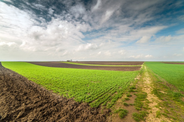 W ostatnich dniach miesiąca będzie nawet 11 stopni ciepła. Do Polski nadal płynie ciepłe atlantyckie powietrze / fot. shutterstock Pogoda: Przed nami ciepły koniec lutego