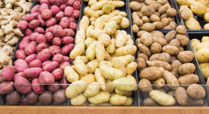 W sklepach dużo mniejsze promocje ziemniaków niż rok temu