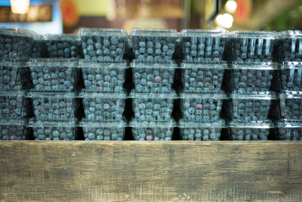 Przez wiele lat produkcję borówek uważano za swego rodzaju eldorado, ze względu na korzystne ceny owoców. / fot. shutterstock Czy producenci borówek powinni obawiać się kryzysu?