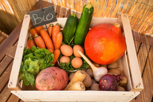 W ciągu ostatniej dekady powierzchnia upraw organicznych w UE wzrosła o 70 proc. do 12,5 mln ha/ fot. shutterstock Zmniejsza się powierzchnia upraw ekologicznych w Polsce