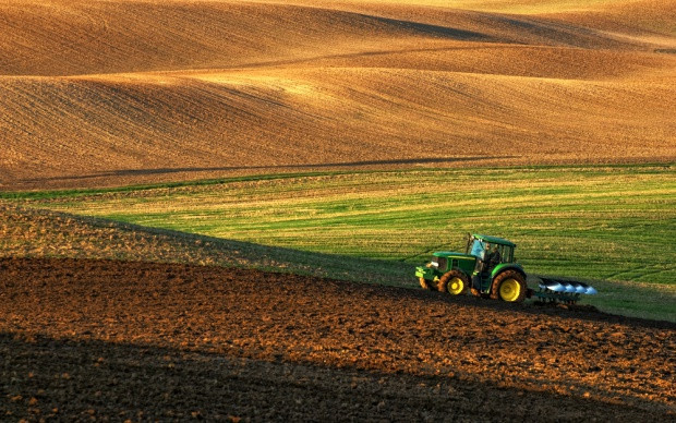 Sprzedaż gruntów rolnych jest ograniczona wieloma przepisami / fot. shutterstock Komu rolnik może swobodnie sprzedać ziemię?