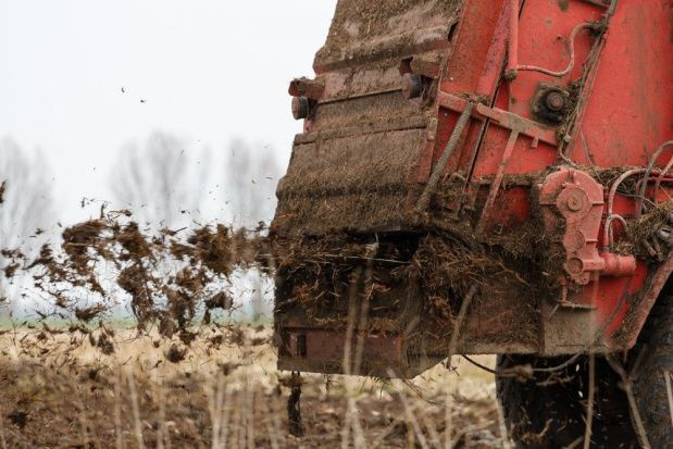 KRIR opowiada się za elastycznym terminem stosowania nawozów naturalnych / fot. shutterstock KRIR za elastycznym terminem stosowania nawozów naturalnych