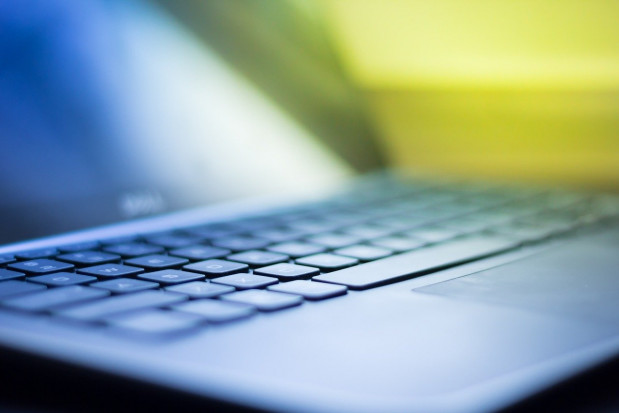 Nowa strona internetowa MRiRW zawiera zarówno wyszukiwarkę środków ochrony roślin, jak i rejestr środków ochrony/ fot. pixabay Wyszukiwarka środków ochrony roślin MRiRW – jak z niej skorzystać?