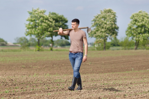 W ramach PROW 2007-2013 zgłoszono należności wobec 7 037 rolników, w tym postępowania w toku trwają dla 489 rolników. / fot. shutterstock Młodzi rolnicy zwracają dotacje z powodu nieuzupełnienia wykształcenia