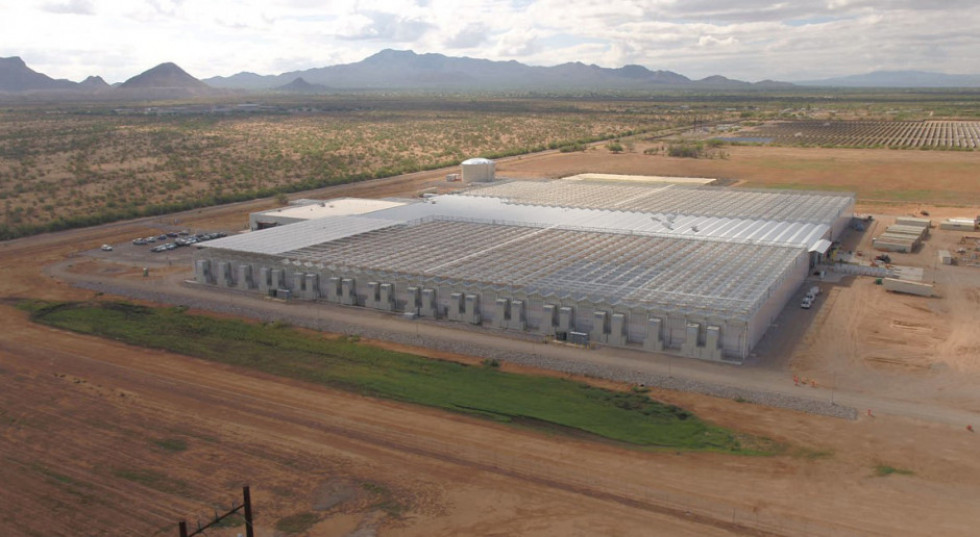 Marana Greenhouse nowoczesne szklarnie Bayera już otwarte