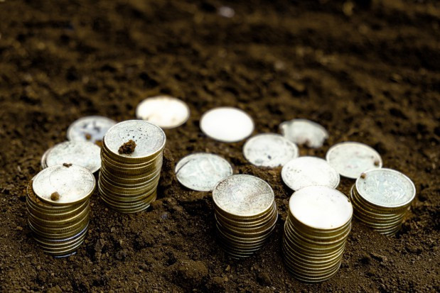 Punktem wyjścia do toczonej dyskusji była diagnoza obecnego stanu polskiego rolnictwa / fot. shutterstock Płatności bezpośrednie będą zależne od ubezpieczeń?