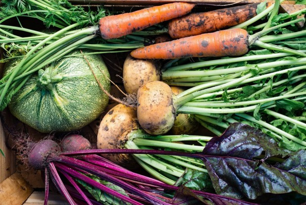 Produkcja warzyw staje się coraz trudniejsza z uwagi na zmieniający się klimat. / fot. shutterstock Mirosław Fucia: Produkcja warzyw staje się coraz trudniejsza