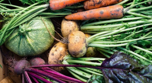 Mirosław Fucia: Produkcja warzyw staje się coraz trudniejsza
