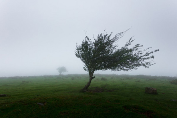 Wiatr w porywach osiągnie prędkość 80 km/h; fot. unsplash.com IMGW: ostrzeżenia przed silnym wiatrem w większości regionów Polski