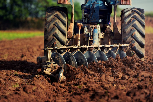 Rozpoczęcie naboru wniosków o przyznanie pomocy w obszarze d na "Modernizację" zaplanowane jest na 31 marca/ fot. shutterstock 31.03. ruszy nabór wniosków na „Modernizację” w obszarze d
