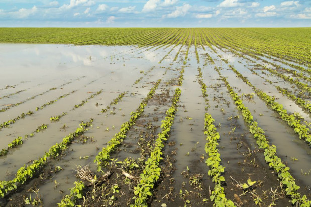 19 marca rusza nabór wniosków o wsparcie dla spółek wodnych na inwestycje chroniące przed podtopieniem / fot. shutterstock MRiRW: od czwartku rusza nabór wniosków o wsparcie dla spółek wodnych