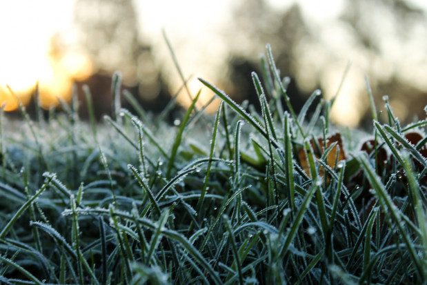 W najbliższych dniach może wystąpić szereg pogodowych utrudnień. Instytut Meteorologii i Gospodarki Wodnej planuje wydać alarmy przed przymrozkami, oblodzeniem i opadami śniegu / fot. shutterstock Synoptycy zapowiadają przymrozki i opady śniegu
