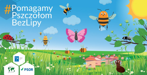 Zachęcamy do włączenia się w akcję #PomagamyPszczołomBezLipy/ fot. mat. pras. PSOR inicjuje drugi rok kampanii edukacyjnej #PomagamyPszczołomBezLipy