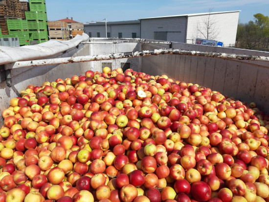 Właściciela T.B. Fruit oskarżono o próbę fikcyjnego bankructwa i uchylenia się od spłaty 250 mln euro kredytu Ukraińskie śledztwo ws. przetwórcy owoców działającego także w Polsce