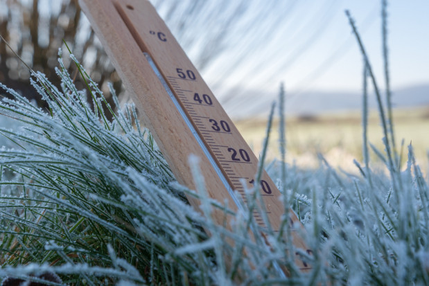 Ostatni raz przymrozek pojawi się w nocy ze środy na czwartek (25/26.03) / fot. shutterstock Pogoda: Apogeum przymrozków nastąpi w nocy z poniedziałku na wtorek