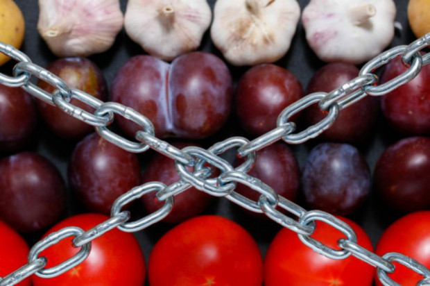 Rosja znosi wszystkie ograniczenia dotyczące importu podstawowych towarów na jeden miesiąc/ fot. shutterstock Rosja znosi ograniczenia dotyczące importu podstawowych towarów