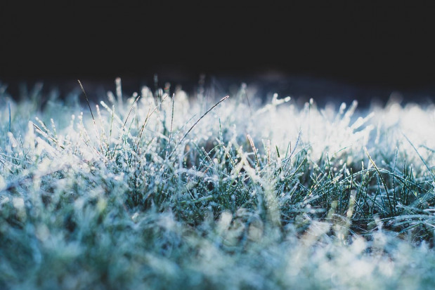IMGW ostrzega przed przymrozkami w całej Polsce/ fot. pixabay IMGW ostrzega przed przymrozkami w całej Polsce