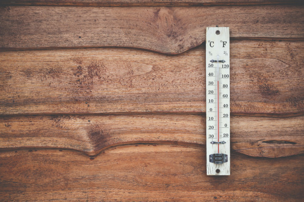 Nadciąga duże ocieplenie, za sprawą którego jeszcze przed końcem tygodnia temperatura w najcieplejszych miejscach sięgnie niemal 20 stopni / fot. shutterstock Pogoda: Nadciąga duże ocieplenie